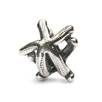 Charm Trollbeads Beads in Argento TAGBE-20041 - TAGBE-20041
